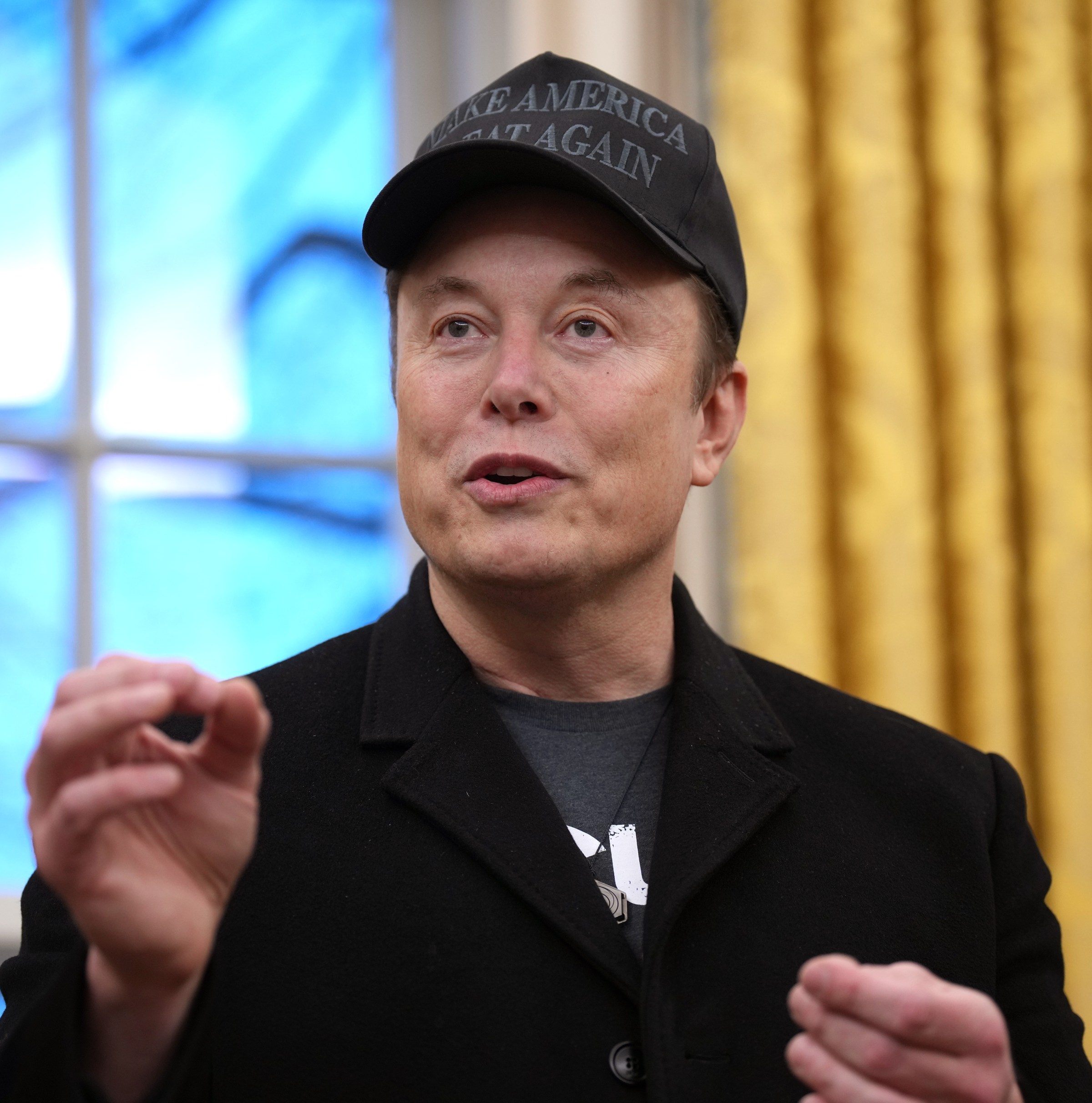 The lawsuit seeking to kick Elon Musk out of government, explained