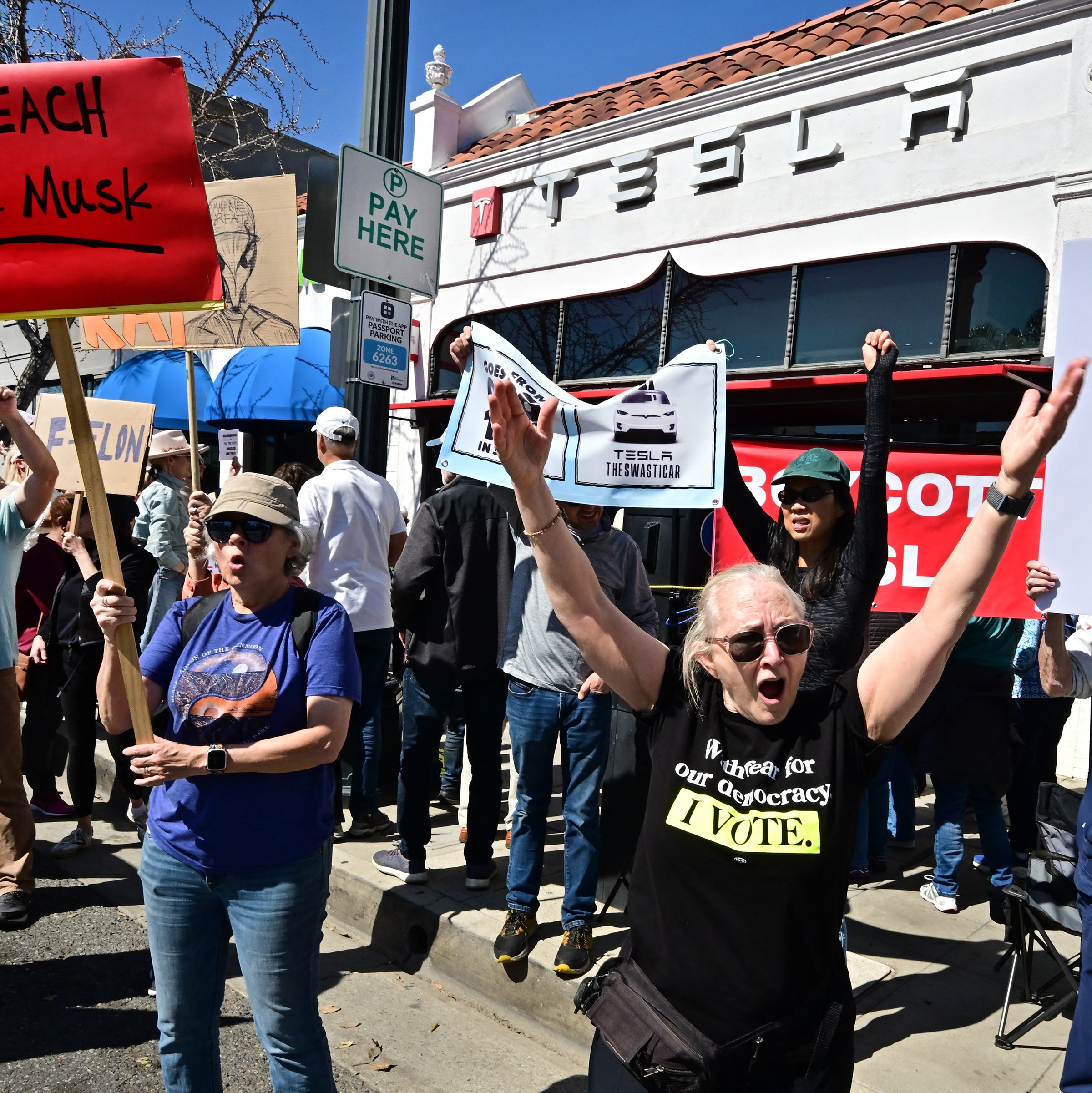 The Tesla backlash is here